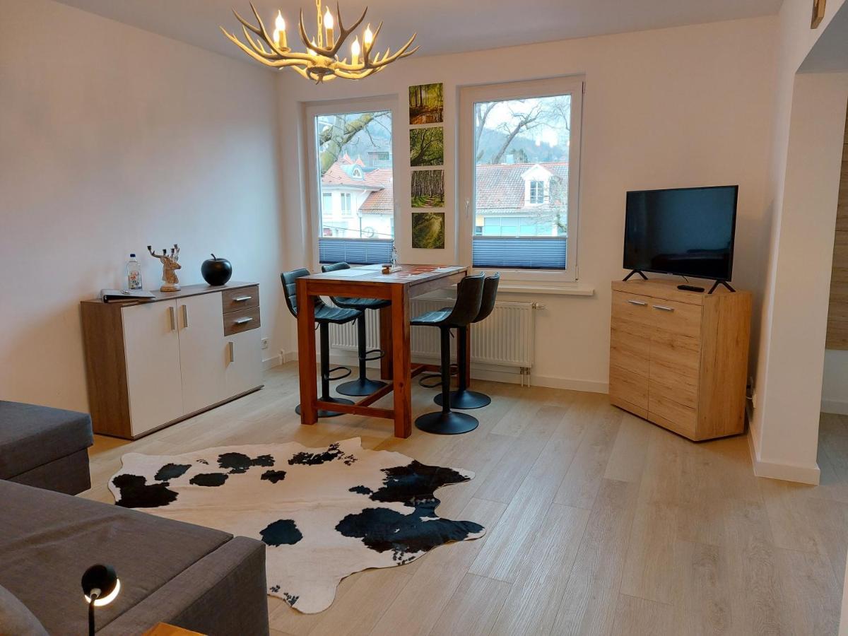 Ferienwohnung Am Jungbrunnen 2 บัดฮาร์ซบวร์ก ภายนอก รูปภาพ